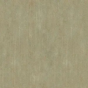  FIPAR Palazzo Terzi R22631 -  1