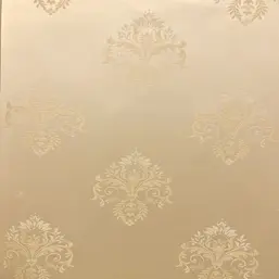  Frontelly Pearl LS024
