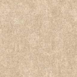  Gaenari Timeless 81048-4