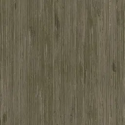  Gaenari Zenith  81203-5