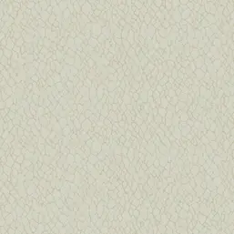  Galerie Boutique DWP0232-01