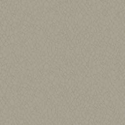  Galerie Boutique DWP0232-02