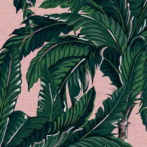  Graham & Brown Genesis  112018 -  1