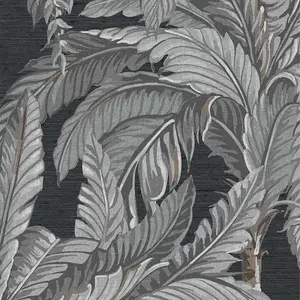  Graham & Brown Genesis  112019 -  1