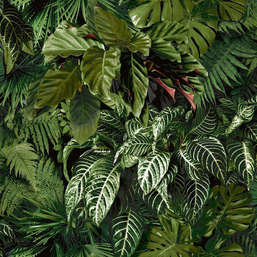  Grandeco Ciara  A58601