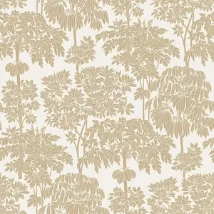  Grandeco Ciara  A63401 -  1