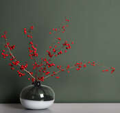 ���� HYGGE Roll Madein Russia MIR4 005 - ���� 7