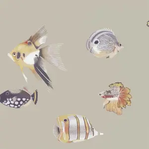  Harlequin Anthozoa 111647 -  1