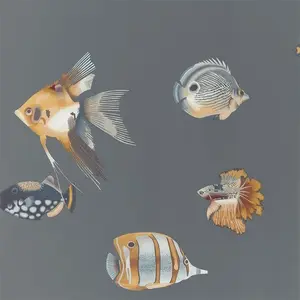  Harlequin Anthozoa 111648 -  1
