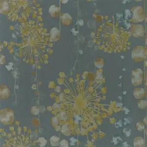  Harlequin Anthozoa 111650 -  1