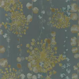  Harlequin Anthozoa 111650