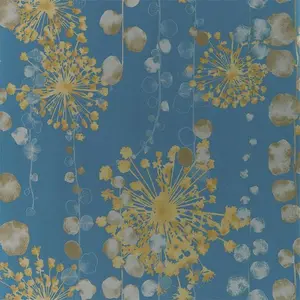  Harlequin Anthozoa 111651 -  1