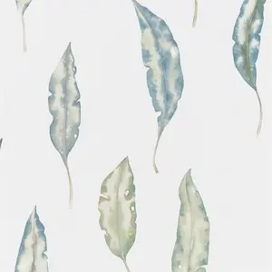  Harlequin Anthozoa 111655 -  1