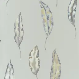  Harlequin Anthozoa 111656