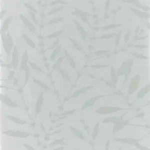  Harlequin Anthozoa 111658 -  1