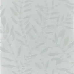  Harlequin Anthozoa 111658