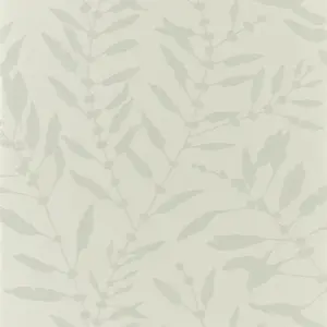  Harlequin Anthozoa 111659 -  1