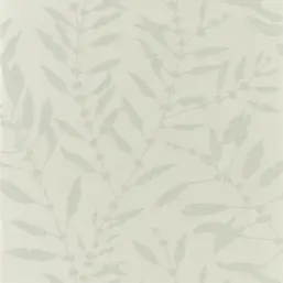  Harlequin Anthozoa 111659