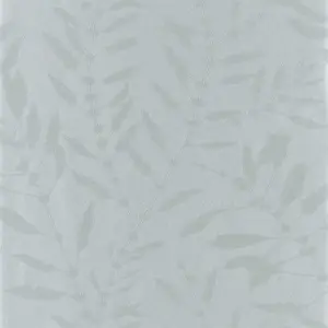  Harlequin Anthozoa 111662 -  1