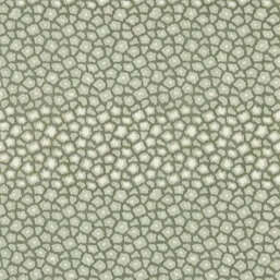 ���� Harlequin Defined Momentum 113296