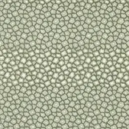  Harlequin Defined Momentum 113296