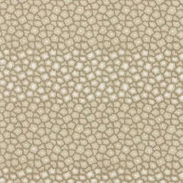 ���� Harlequin Defined Momentum 113297