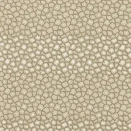  Harlequin Defined Momentum 113297