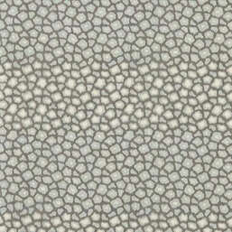 ���� Harlequin Defined Momentum 113298