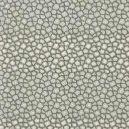  Harlequin Defined Momentum 113298