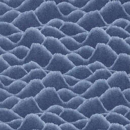 ���� Harlequin Defined Momentum 113306