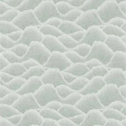 ���� Harlequin Defined Momentum 113308