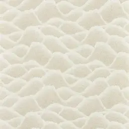  Harlequin Defined Momentum 113309