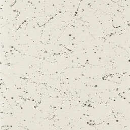 ���� Harlequin Defined Momentum 113315