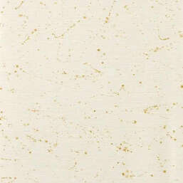 ���� Harlequin Defined Momentum 113316