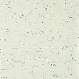 ���� Harlequin Defined Momentum 113318