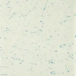  Harlequin Defined Momentum 113318