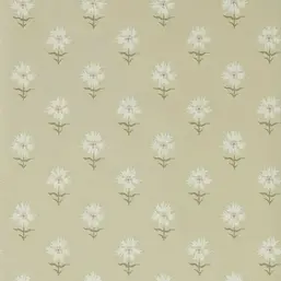  Harlequin Henry Holland 113162