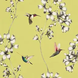  Harlequin Idyllic 111061