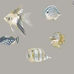 ���� Harlequin Idyllic 111646