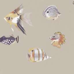 ���� Harlequin Idyllic 111647