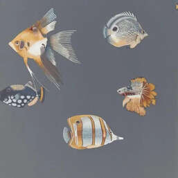 ���� Harlequin Idyllic 111648