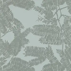  Harlequin Lucero 111716 -  1