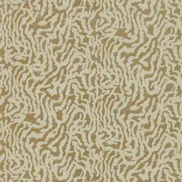  Harlequin Lucero 111734