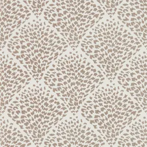  Harlequin Lucero 111747 -  1