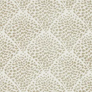  Harlequin Lucero 111748 -  1
