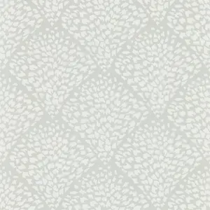  Harlequin Lucero 111749 -  1