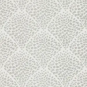  Harlequin Lucero 111750 -  1