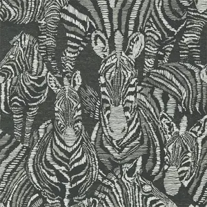  Harlequin Mirador 112242 -  1