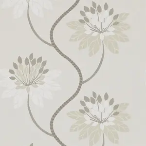  Harlequin Purity 111186 -  1