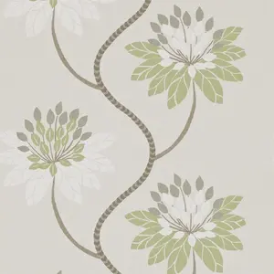  Harlequin Purity 111189 -  1